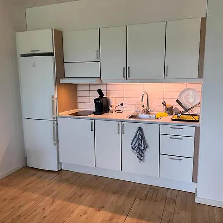 Apartment Hellerup * 腓特烈西亚